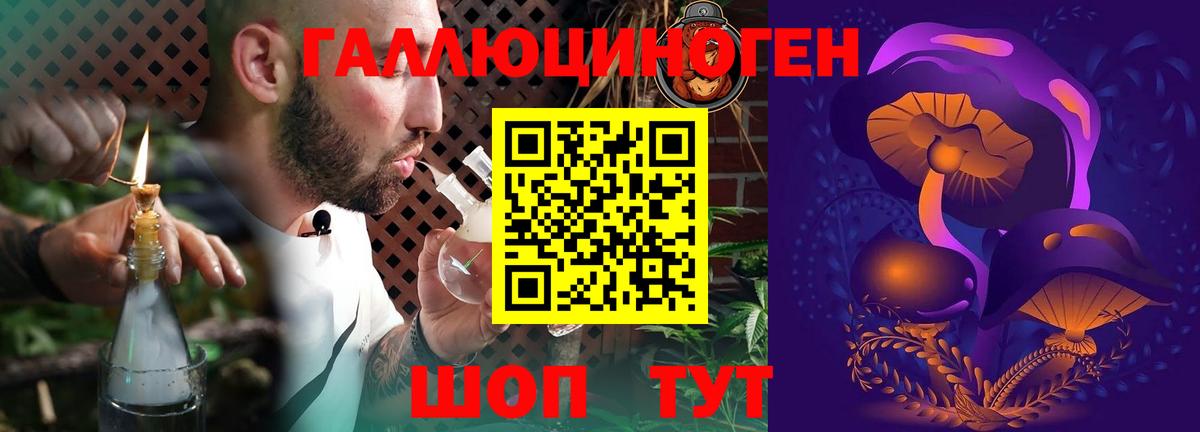 Псилоцибиновые грибы мухоморы  магазин продажи наркотиков  Аксай  Вход с VPN 