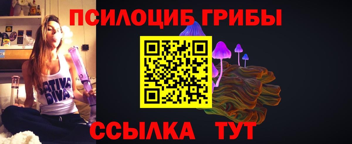 Галлюциногенные грибы Cubensis Аксай